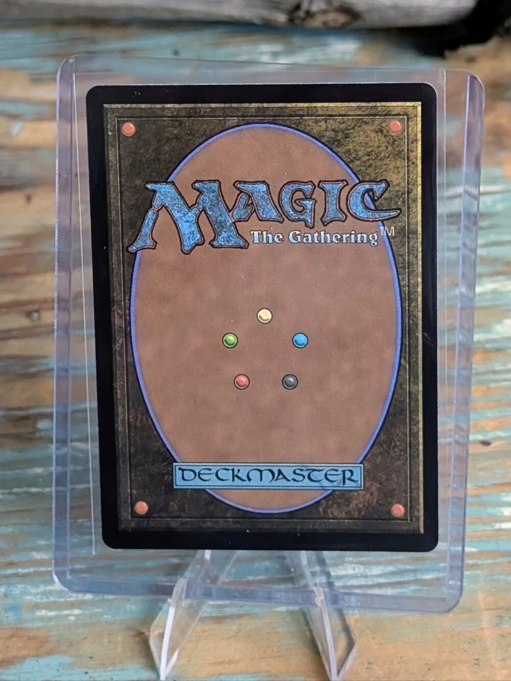 Magic The Gathering Bloomburrow 5 Card Bundle